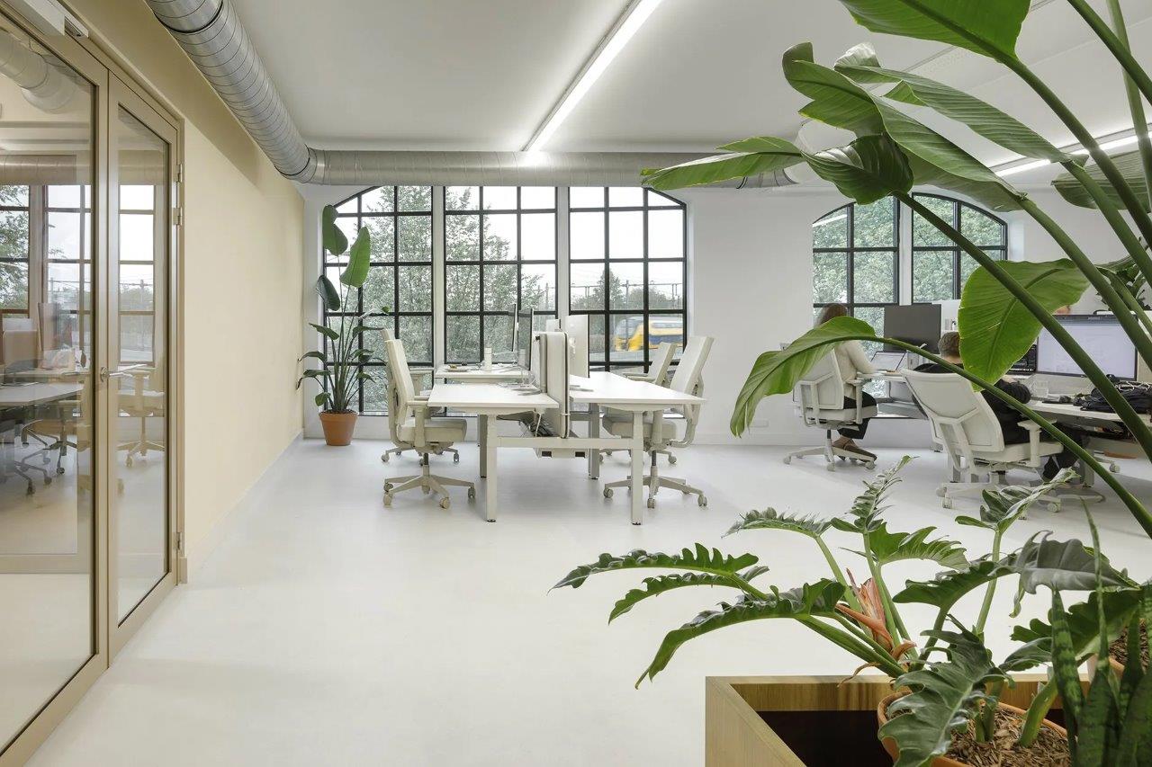 Beeld Hollandse Nieuwe