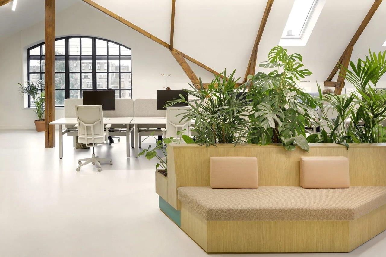 Beeld Hollandse Nieuwe