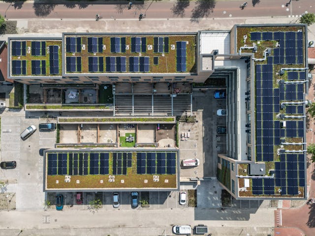 Beeld Jannes Linders