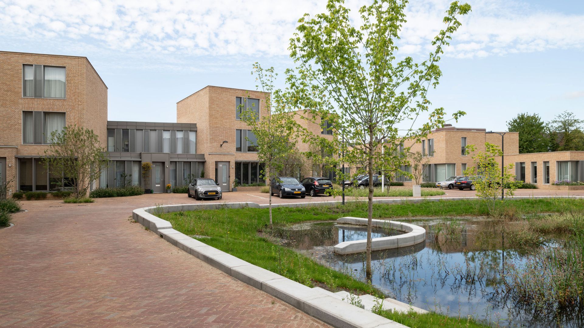 Beeld Koen van Damme