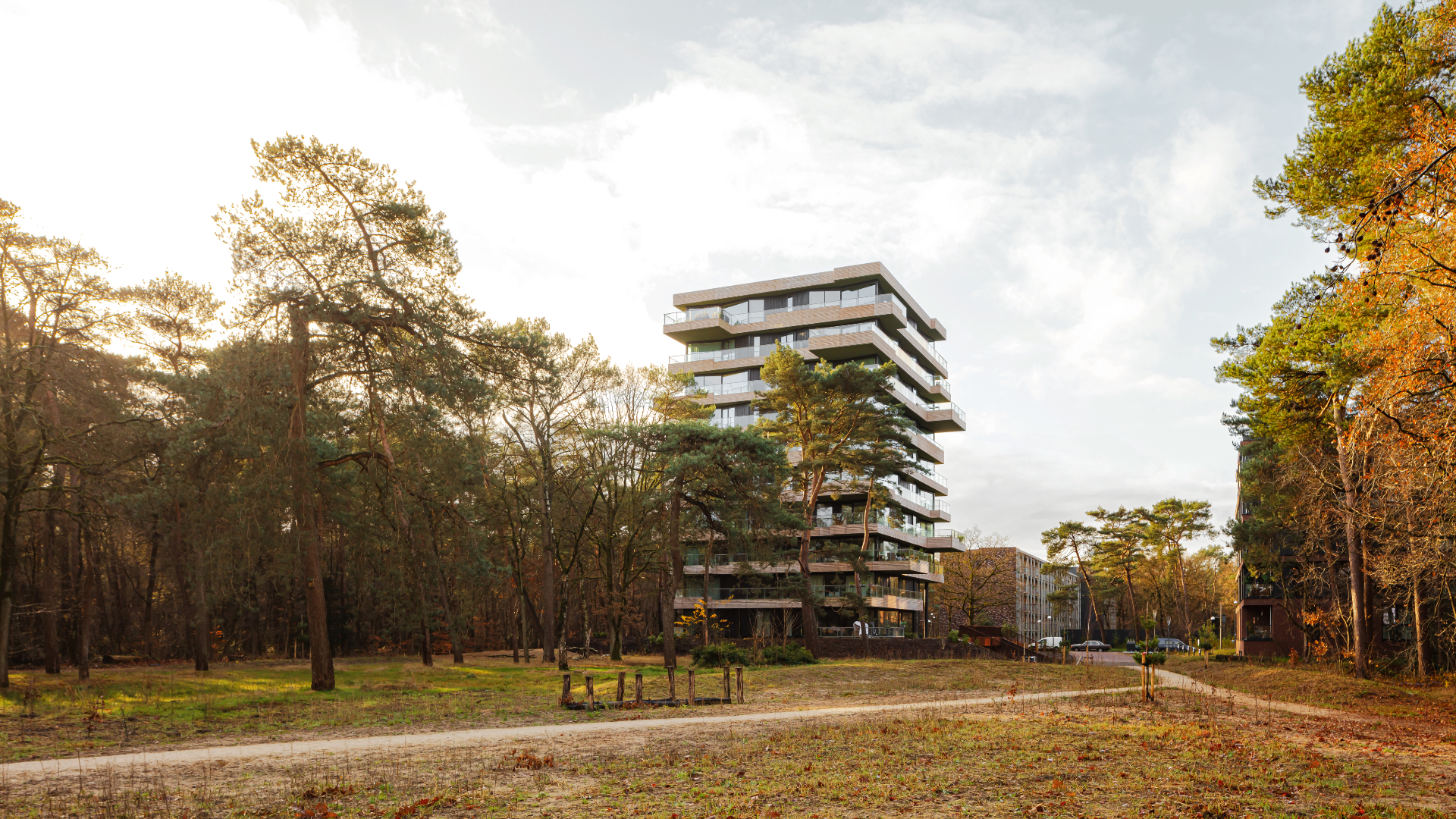 Beeld Sebastian van Damme