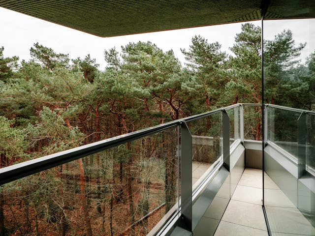 Beeld Sebastian van Damme