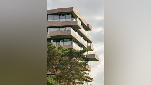 Boven de boomtoppen. Beeld Sebastian van Damme