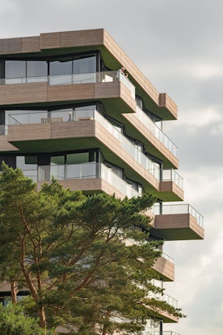 Boven de boomtoppen. Beeld Sebastian van Damme