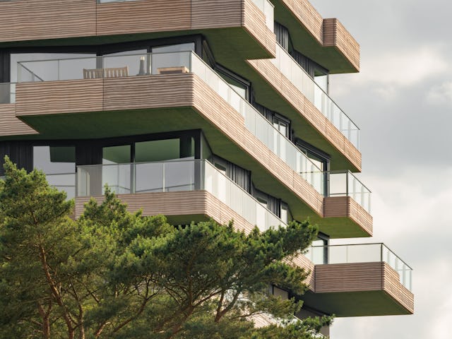 Boven de boomtoppen. Beeld Sebastian van Damme