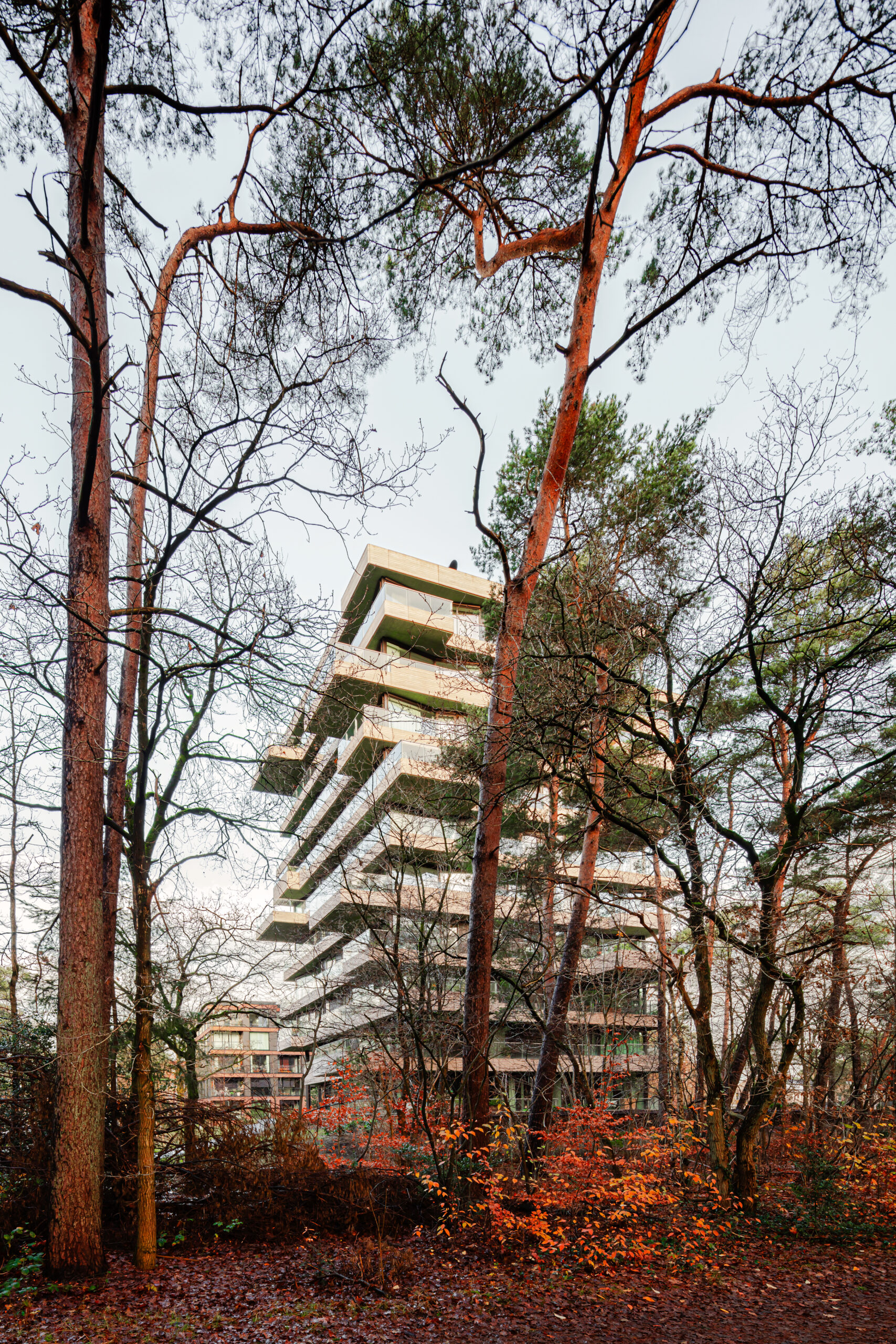 Toren in het bos. Beeld Sebastian van Damme