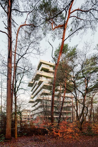 Toren in het bos. Beeld Sebastian van Damme