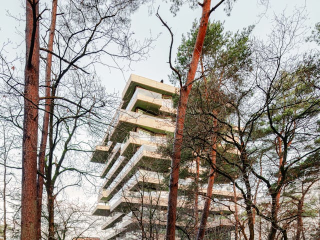 Toren in het bos. Beeld Sebastian van Damme