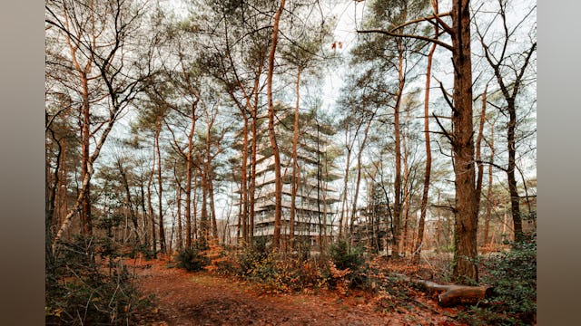 Beeld Sebastian van Damme