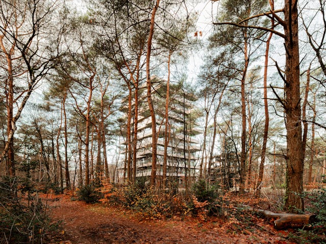 Beeld Sebastian van Damme