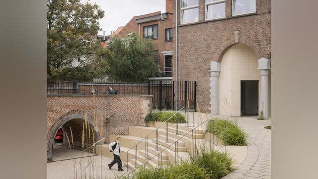 Beeld Stijn Bollaert