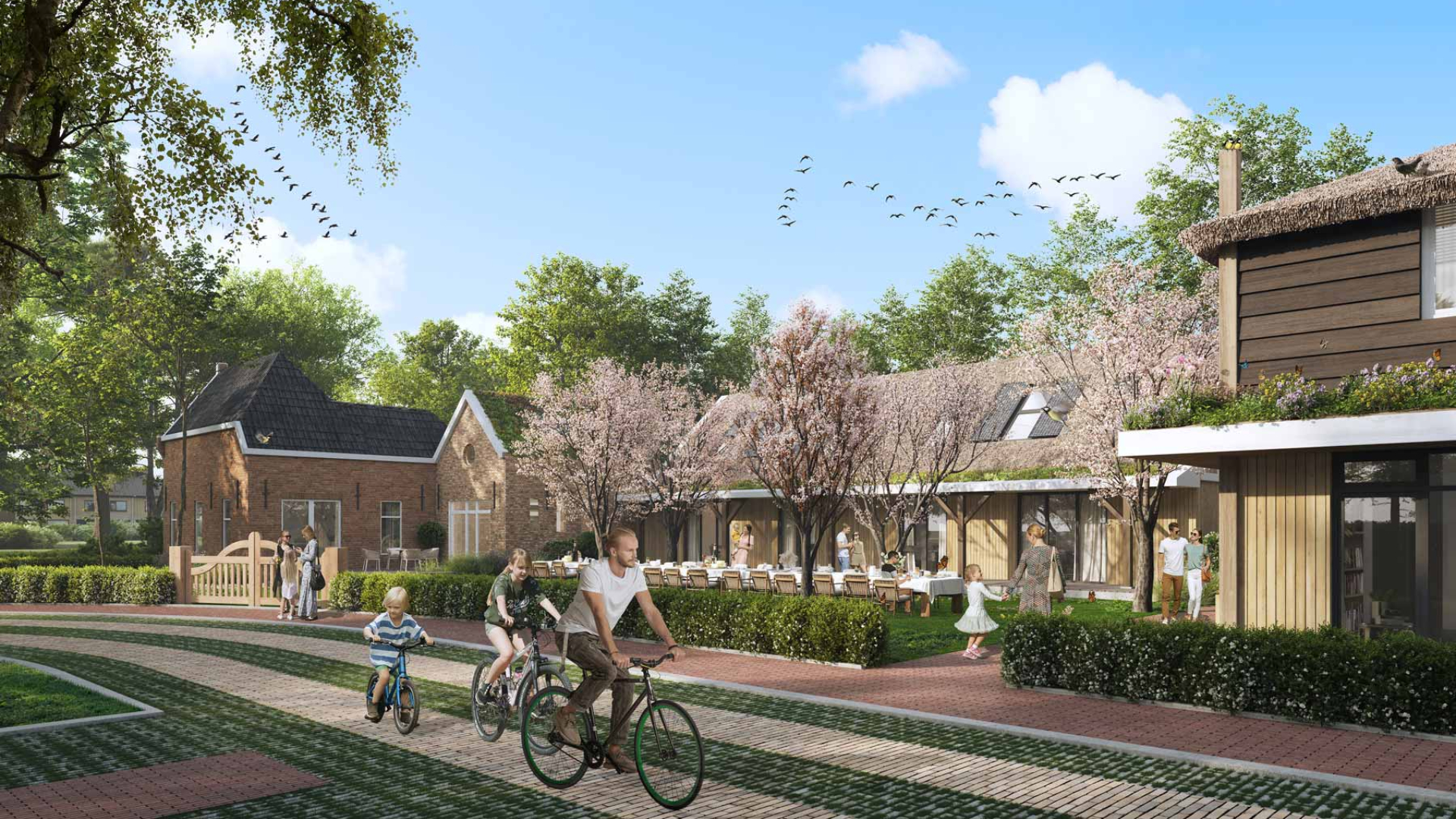 Collectieve tuin. Beeld RenderArt