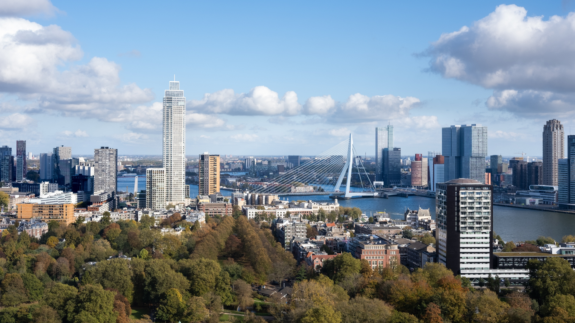 Rotterdam. Beeld Shutterstock