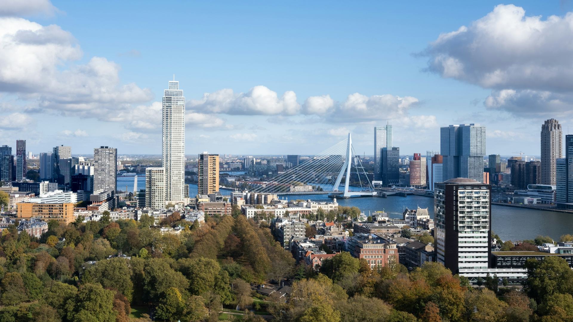 Rotterdam. Beeld Shutterstock