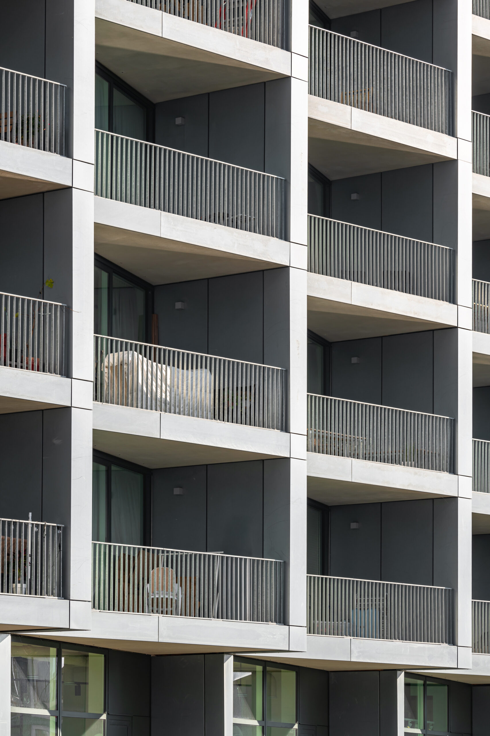 C14. Beeld Sebastian van Damme