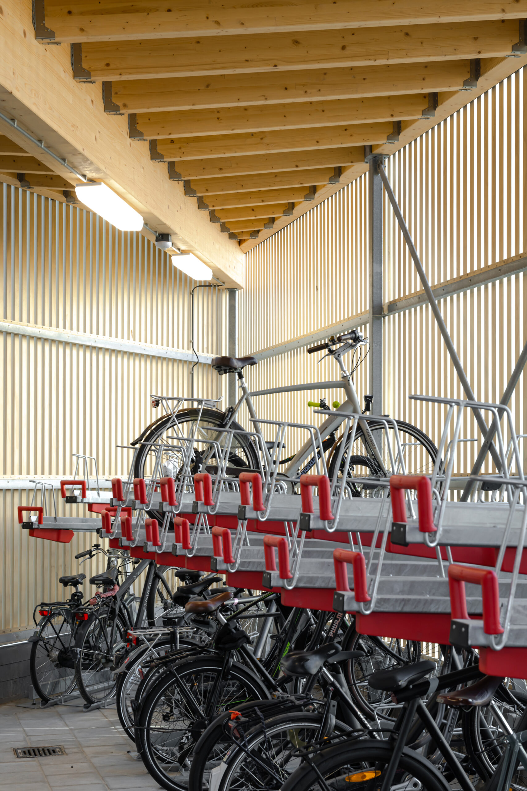 C14. Beeld Sebastian van Damme