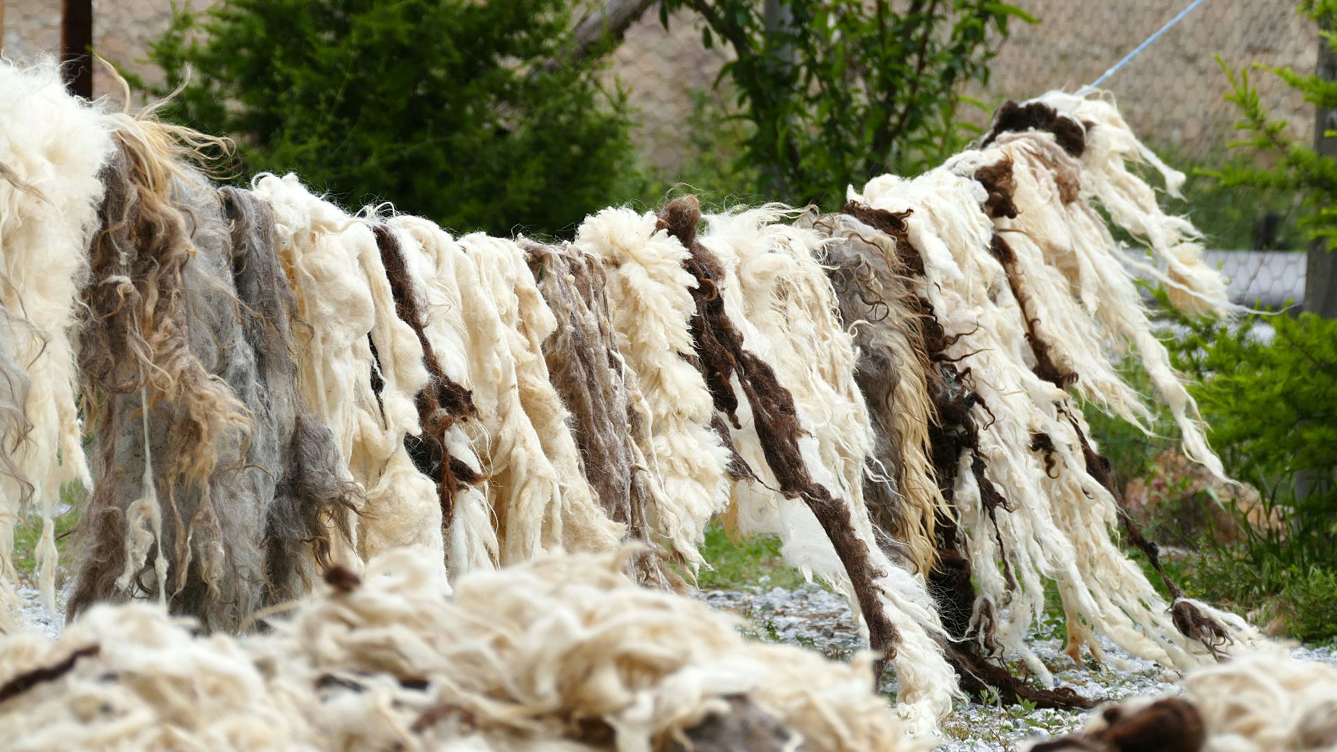 In Nederland gooien we te veel weg: hele (of halve) gebouwen en gezonde, biobased materialen