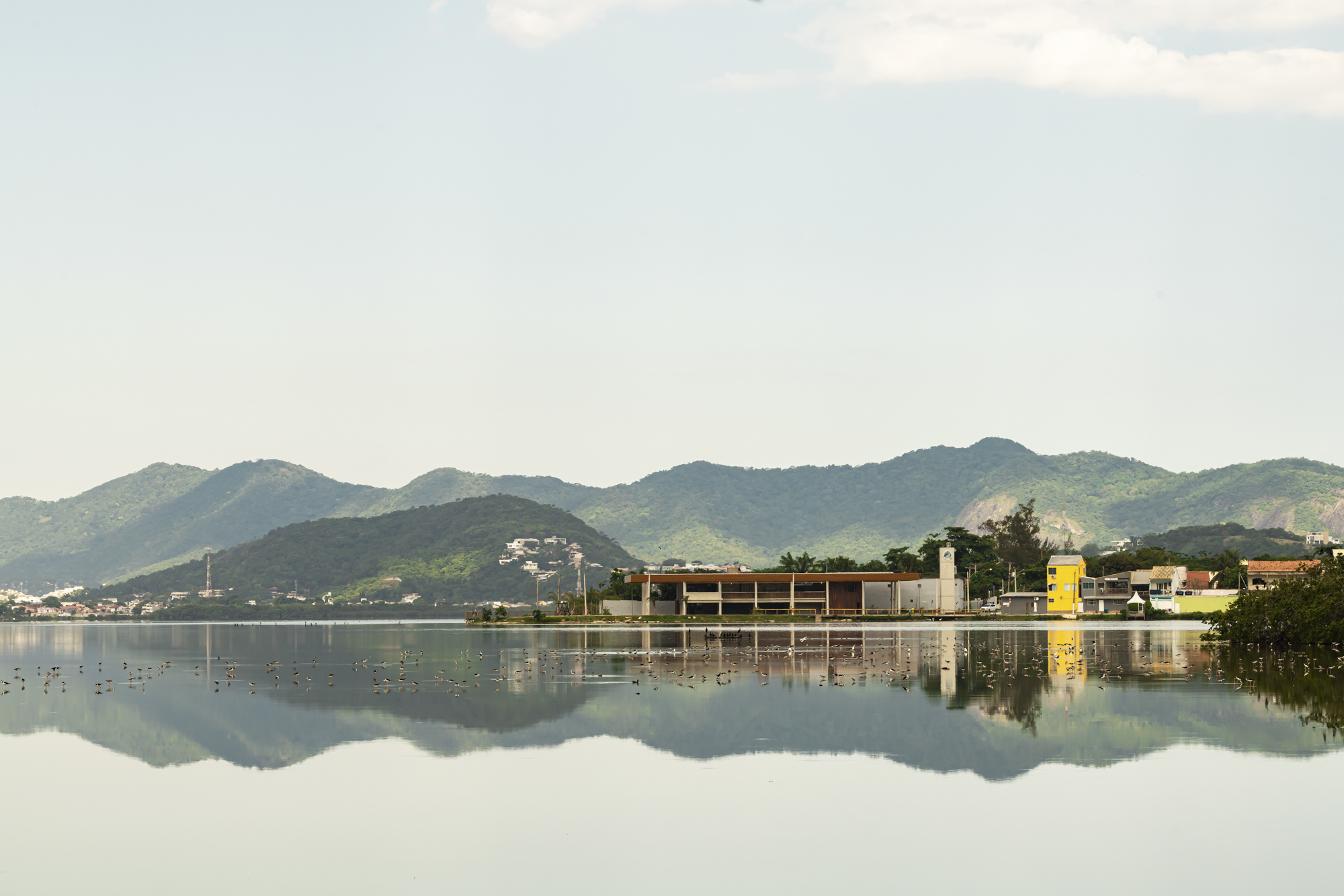 Beeld Sebastian van Damme