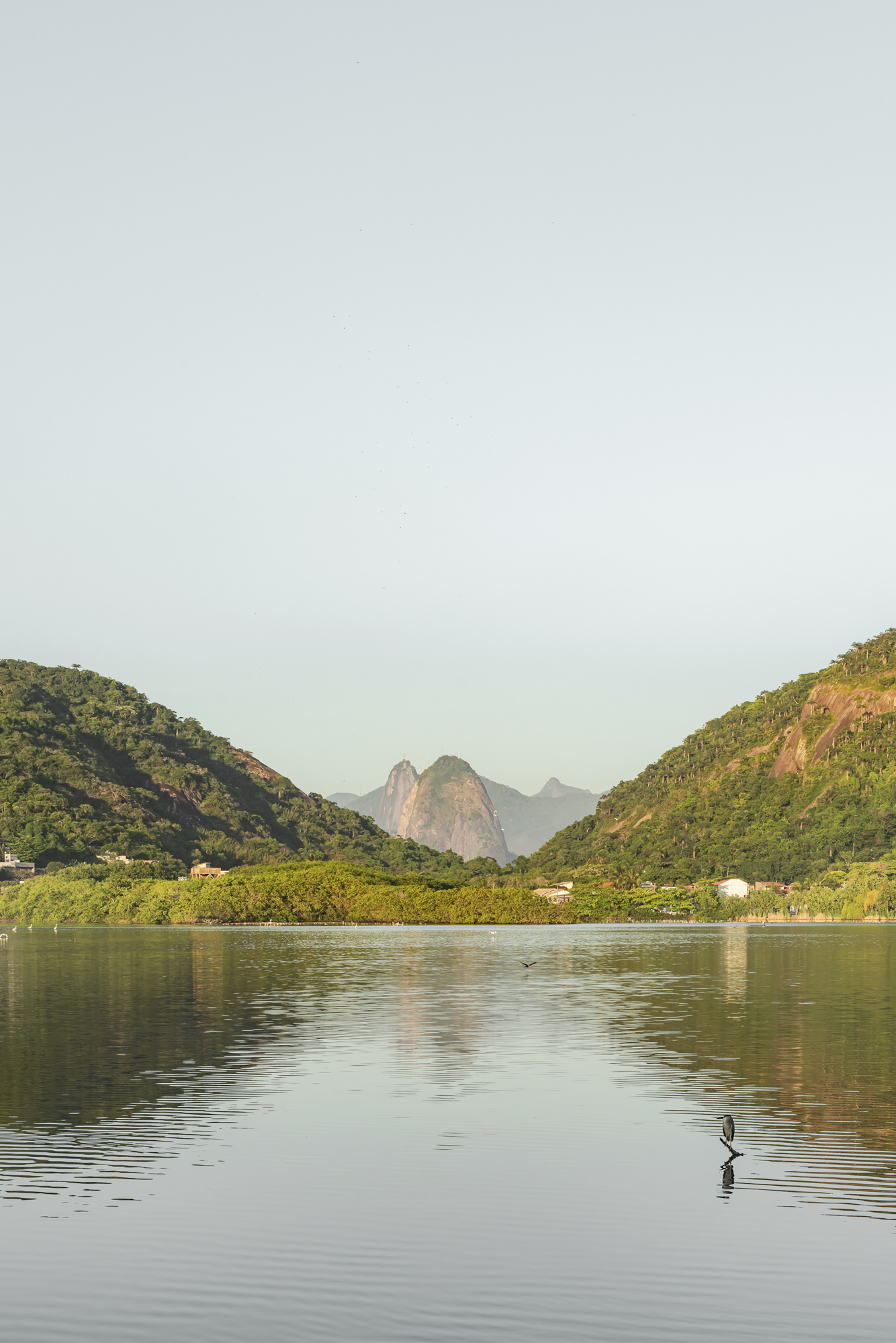 Beeld Sebastian van Damme