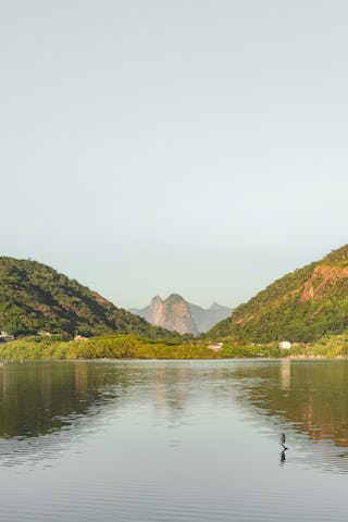 Beeld Sebastian van Damme