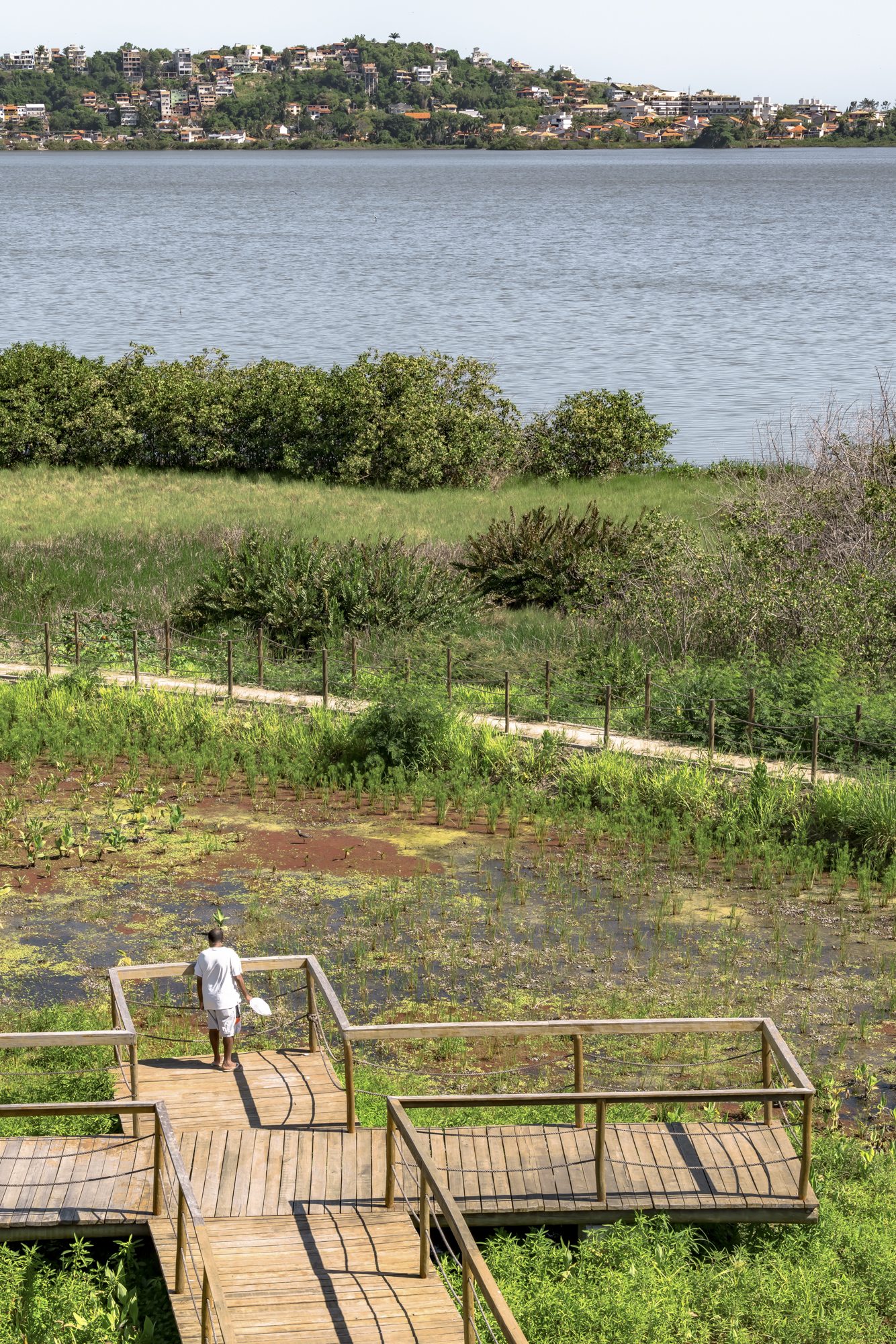 Beeld Sebastian van Damme