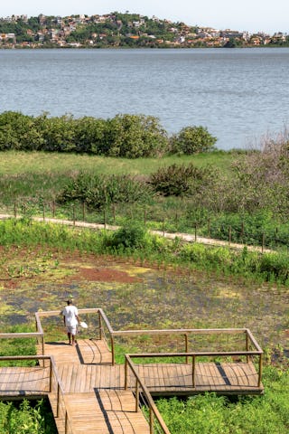 Beeld Sebastian van Damme