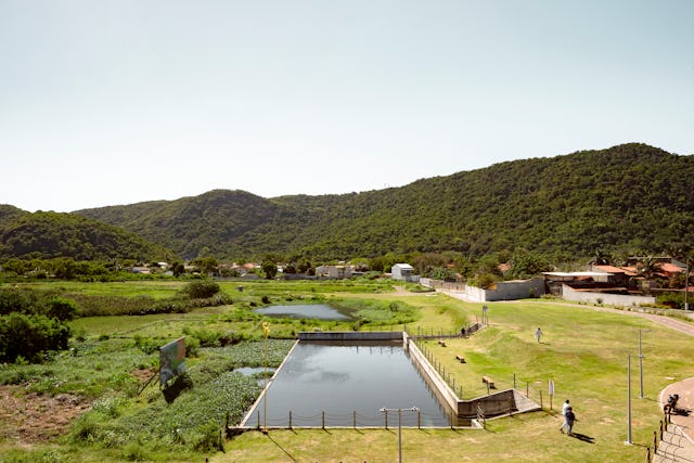 Beeld Sebastian van Damme