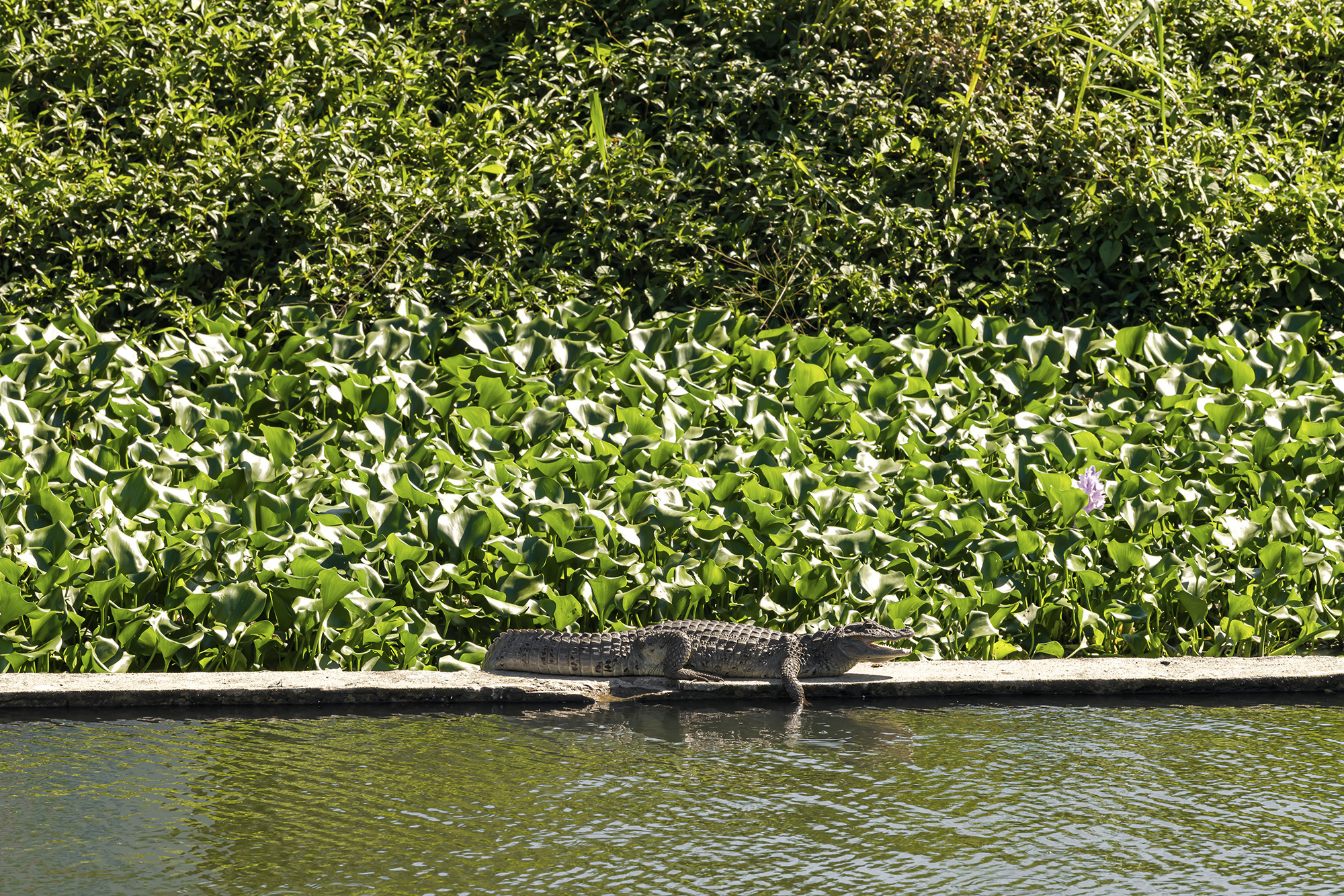 Beeld Sebastian van Damme