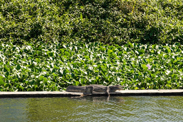 Beeld Sebastian van Damme