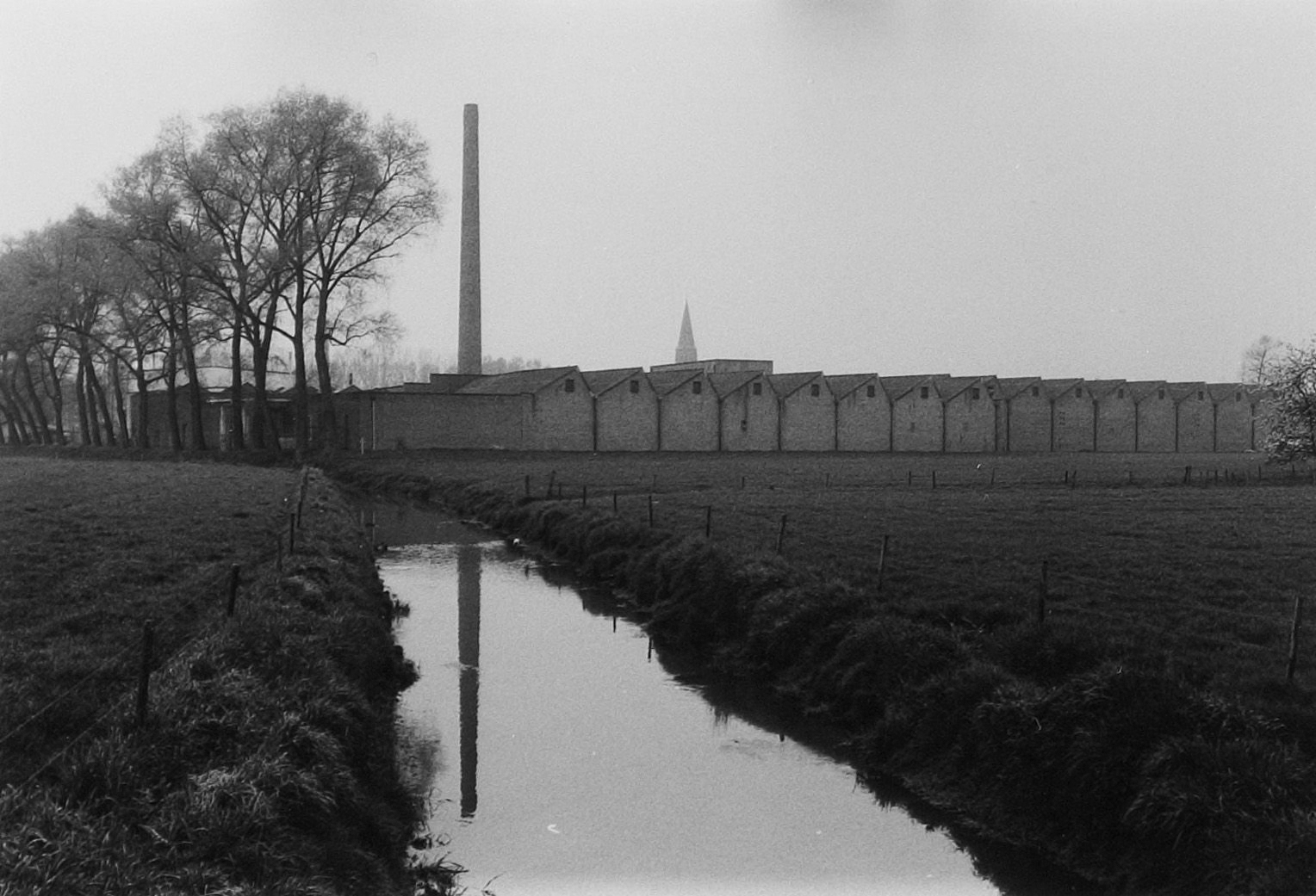 Beeld Wies van Leeuwen