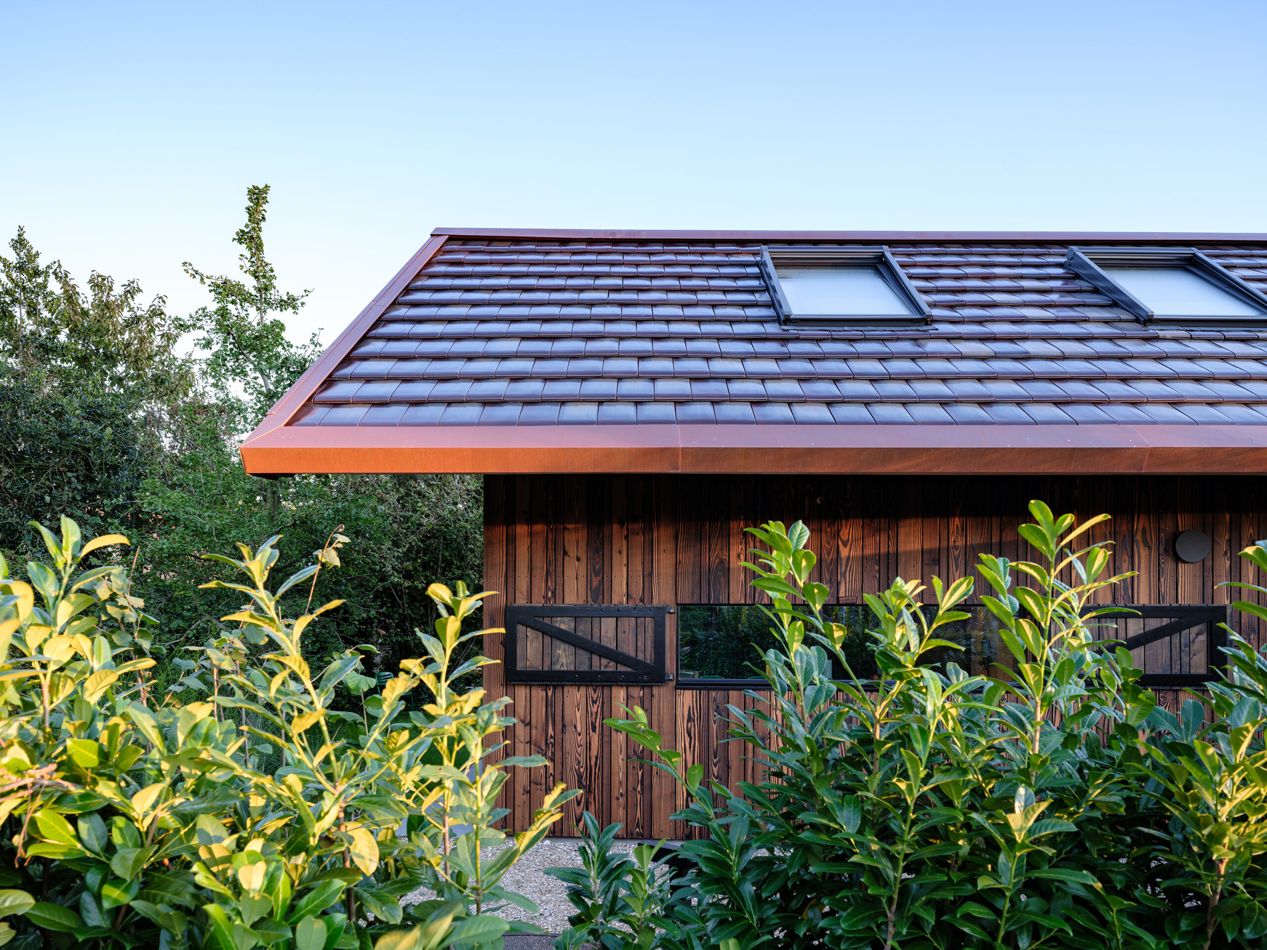 Beeld Ossip van Duivenbode