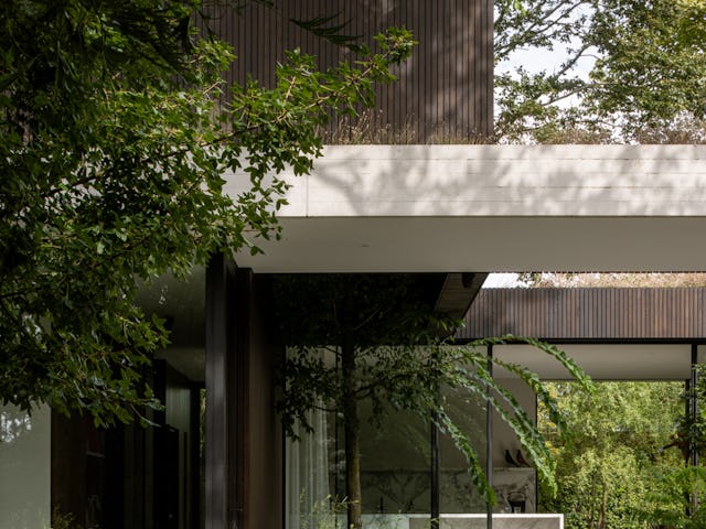 Beeld Tim Van de Velde