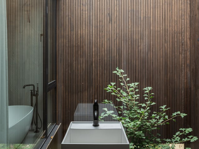 Beeld Tim Van de Velde