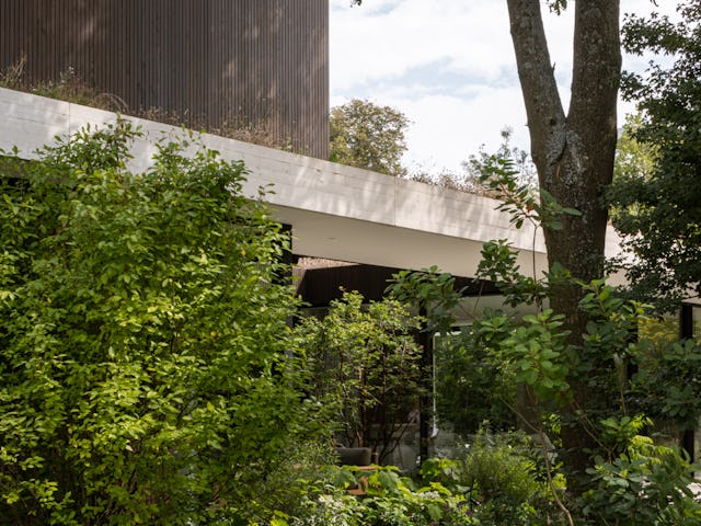 Beeld Tim Van de Velde