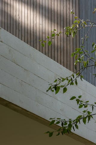 Beeld Tim Van de Velde