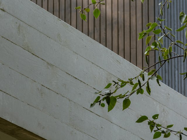 Beeld Tim Van de Velde