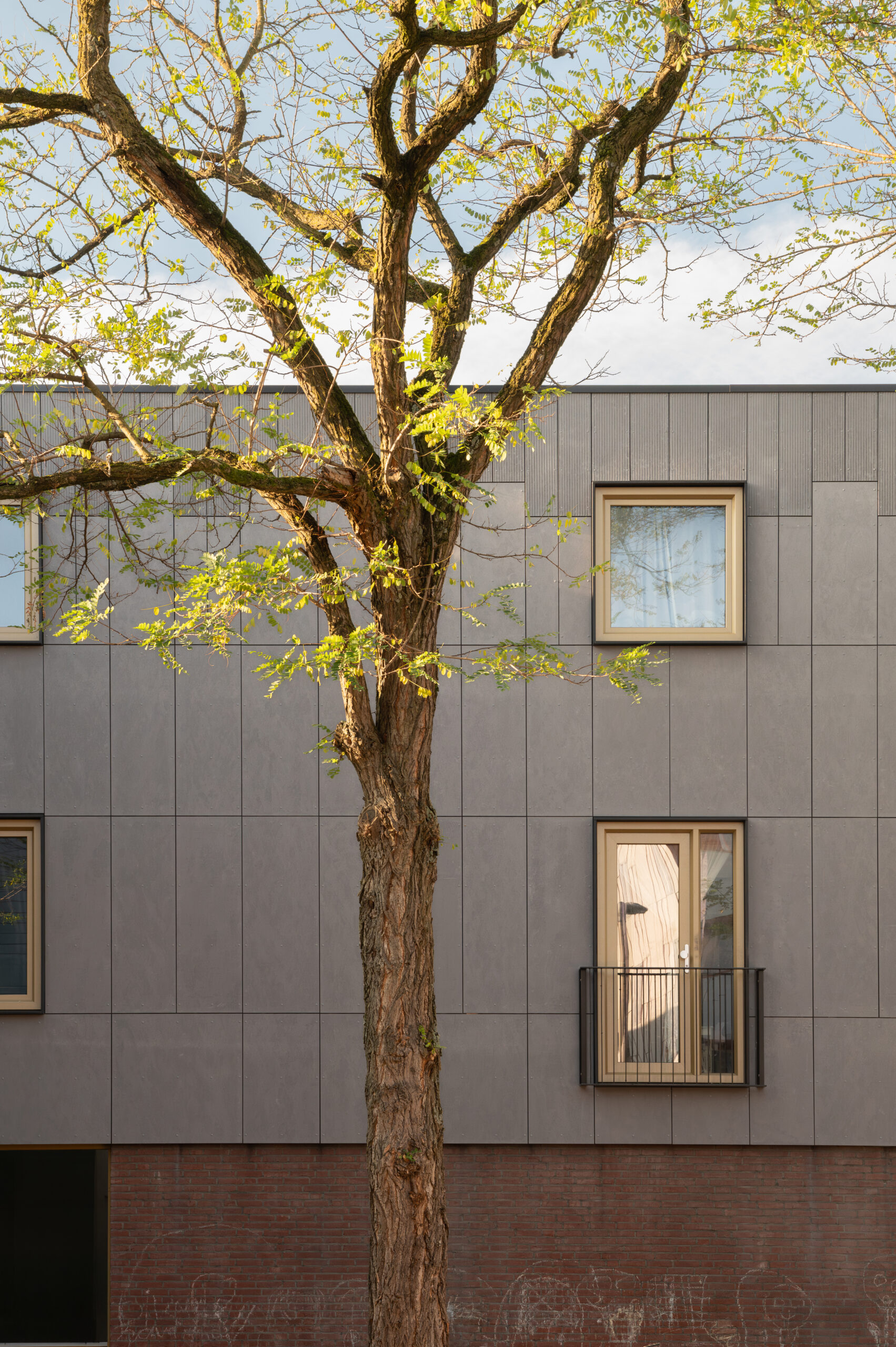 Beeld Aiste Rakauskaite