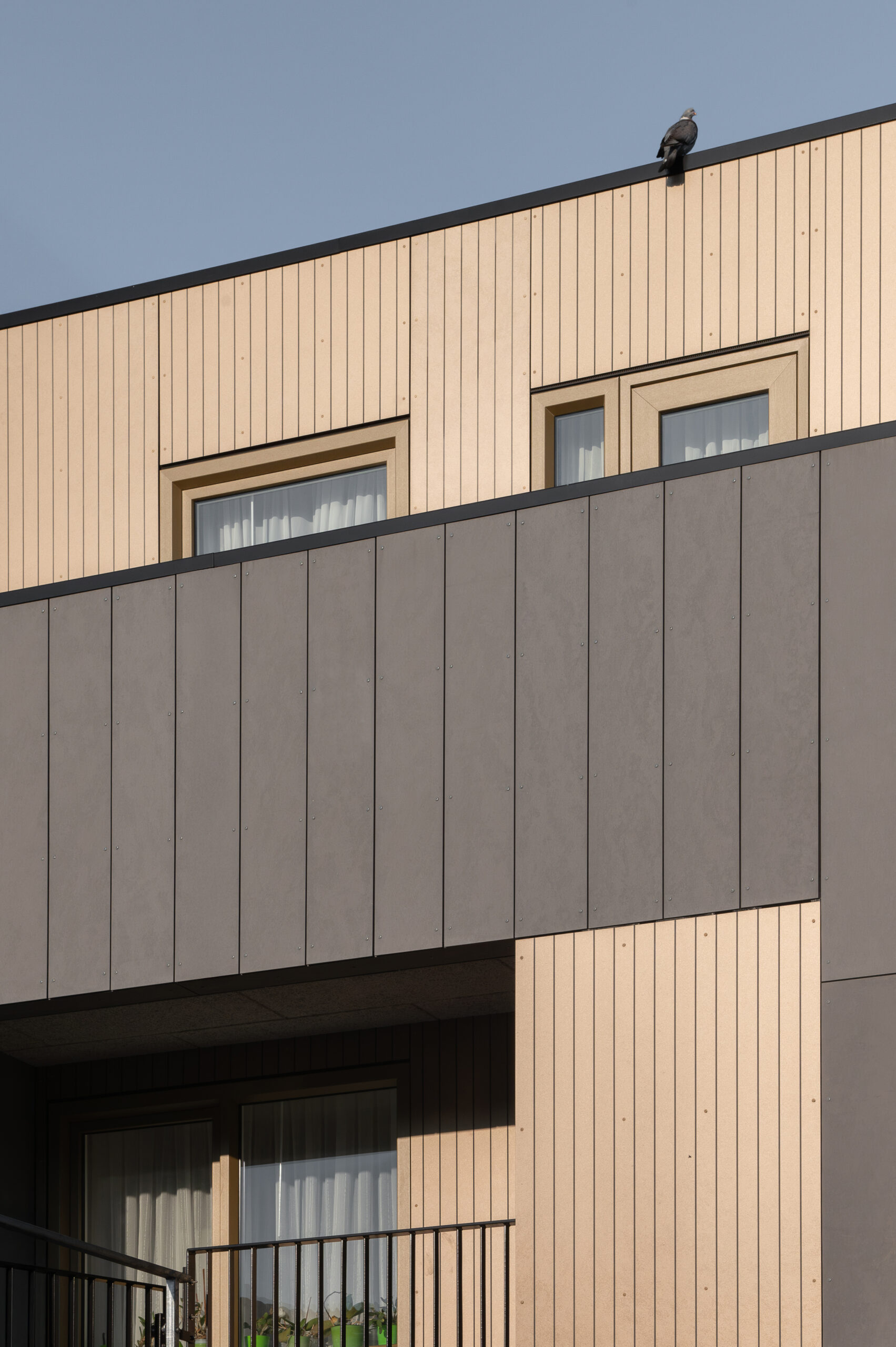 Beeld Aiste Rakauskaite