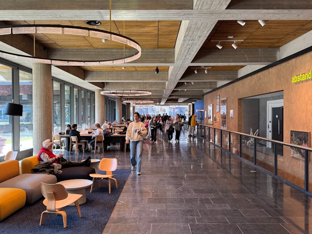 Beeld Ossip van Duivenbode