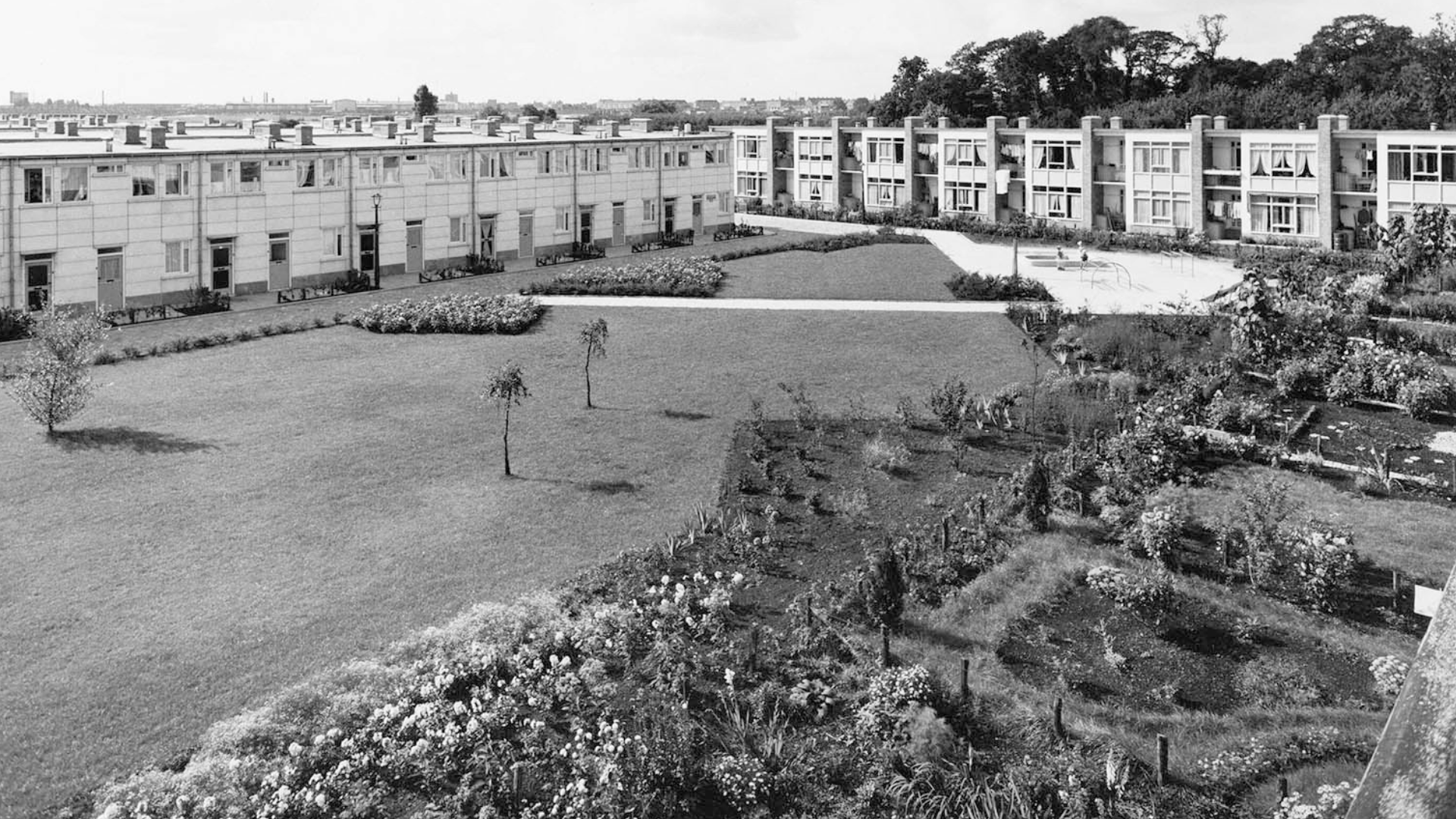 Ruys verzette zich tegen de impuls van architect Cornelis van Eesteren om de tuinen van zijn naoorlogse woningbouwprojecten voor Amsterdam te standaardiseren en hield vast aan de wens dat de blokken individuele beplantingsschema's zouden krijgen. De woonwijk Frankendael uit 1949, ook wel bekend als 'Jeruzalem', was een voorbeeld hiervan, en Van Eesteren erkende later dat Ruys gelijk had gehad. Beeld Stadsarchief Amsterdam