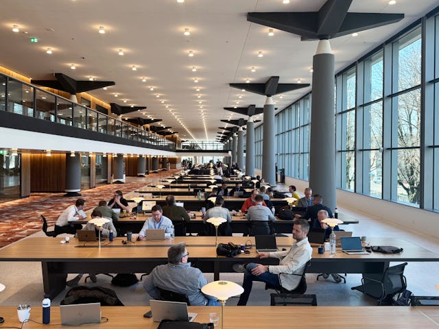 Beeld Ossip van Duivenbode