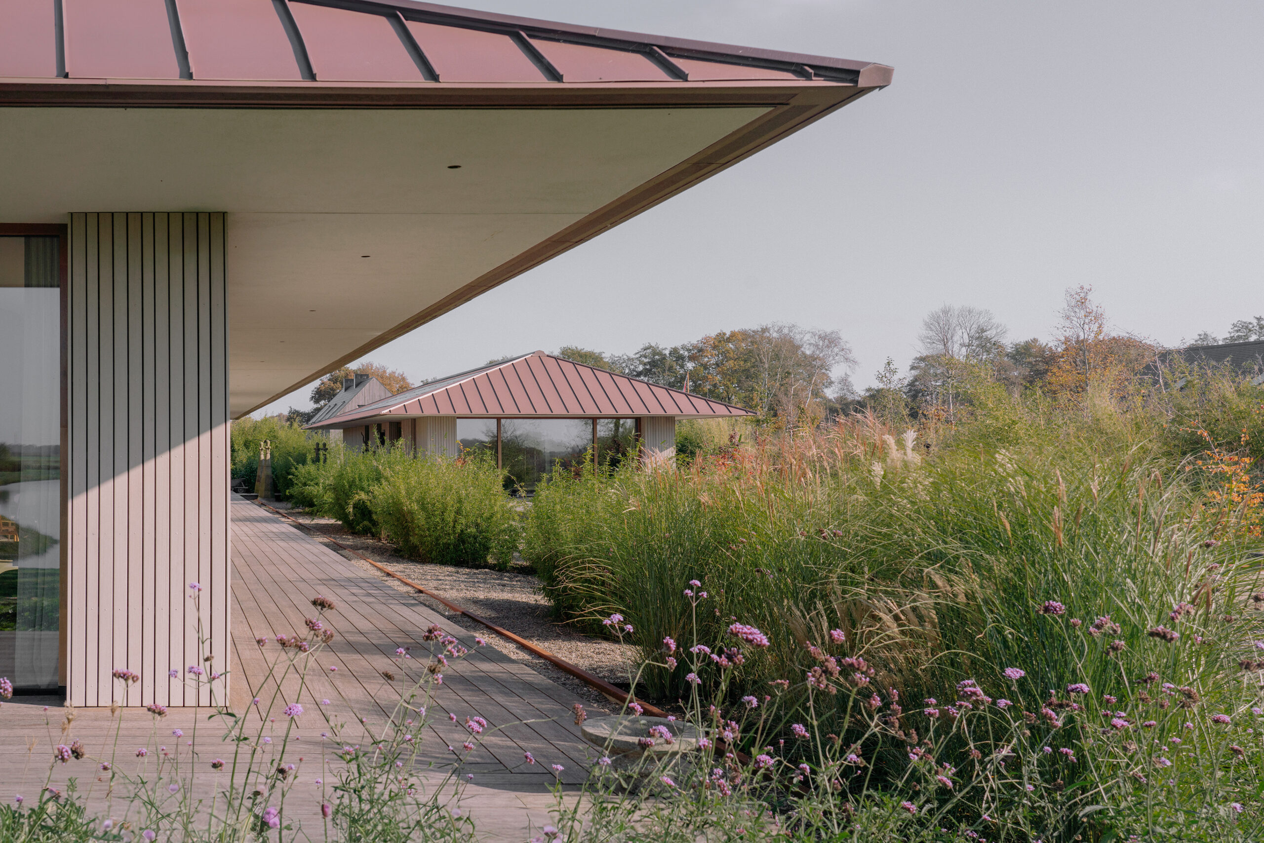 Beeld Crispijn van Sas