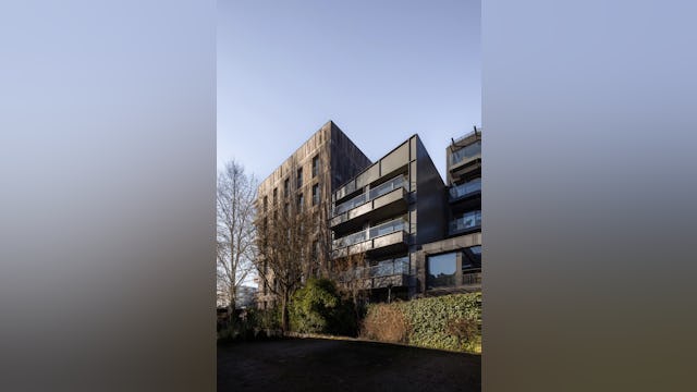 Beeld Anna Odulinska