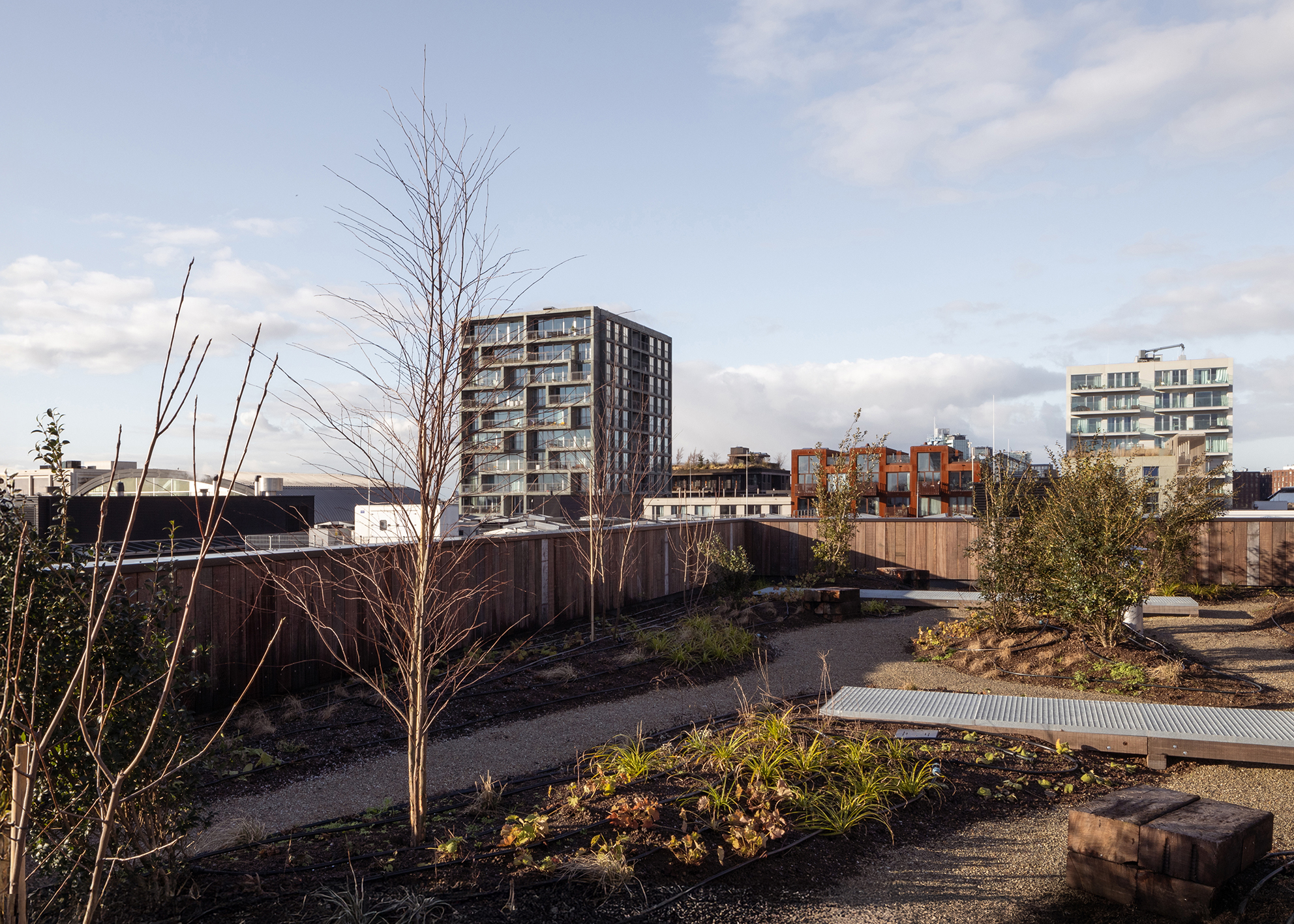 Beeld: Houtrak / Anna Odulinska