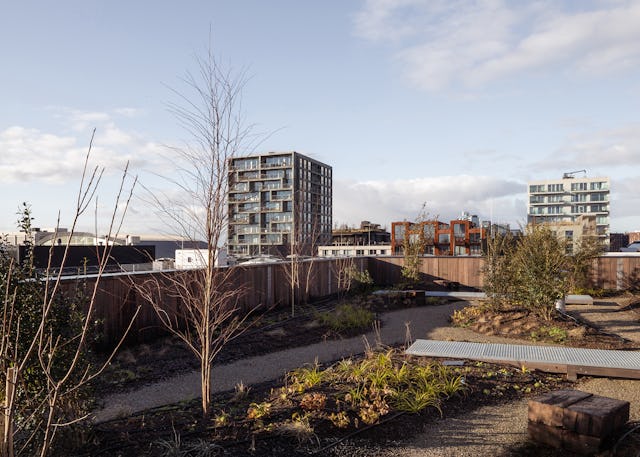 Beeld: Houtrak / Anna Odulinska