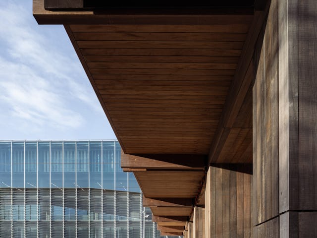 Beeld Anna Odulinska