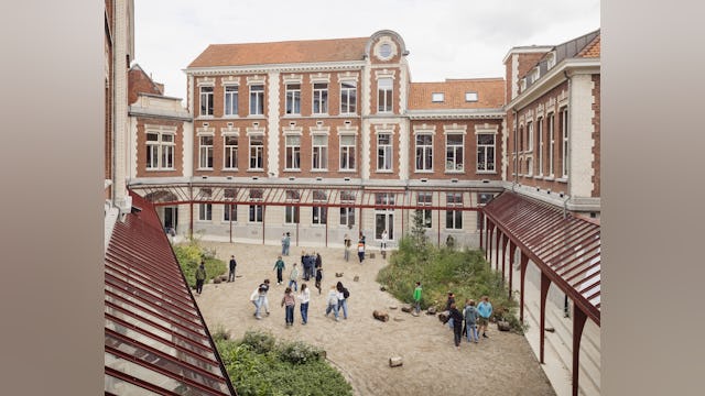 Beeld Stijn Bollaert