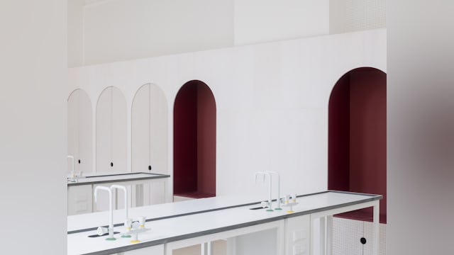 Beeld Stijn Bollaert