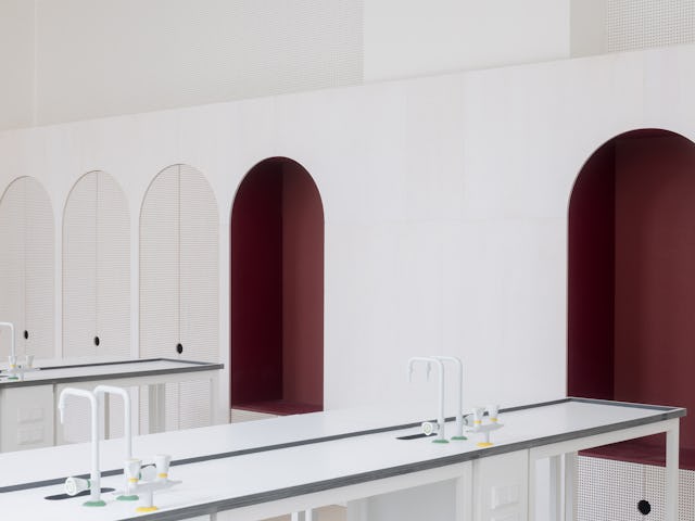 Beeld Stijn Bollaert