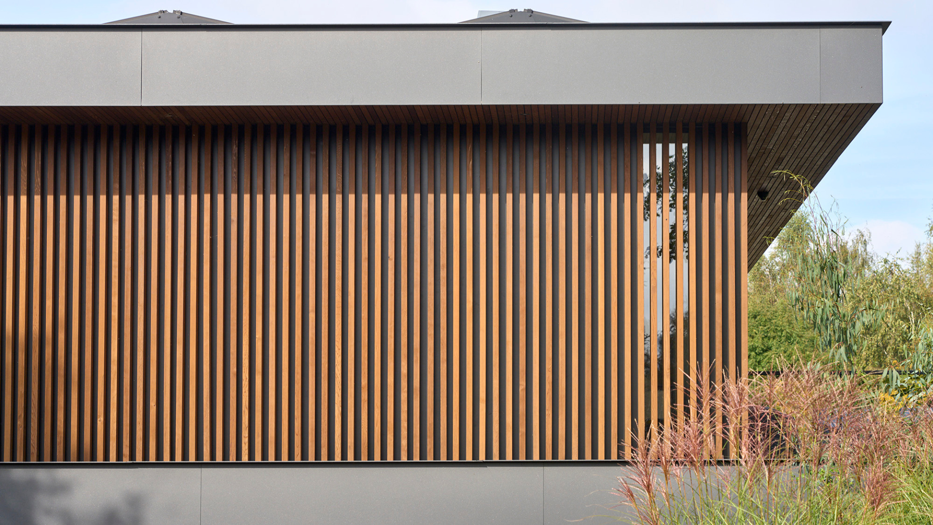 Peelrandbreuk Nistelrode. Beeld René de Wit